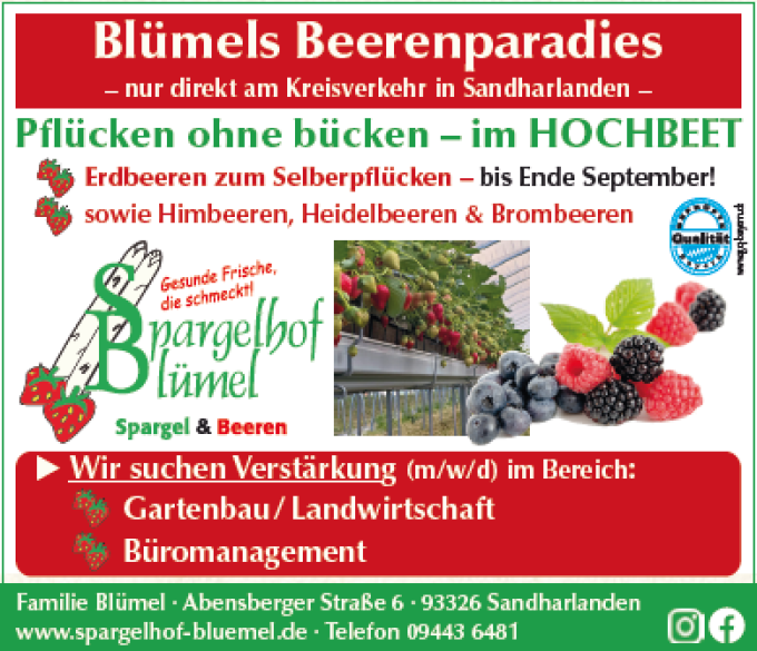 202508_SpargelhofBluemel