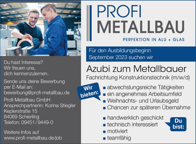 profi metallbau 3